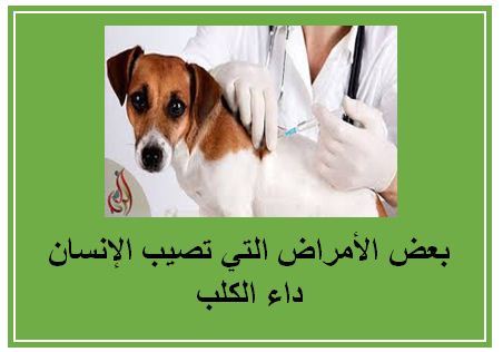 بعض الأمراض التي تصيب الإنسان: داء الكلب